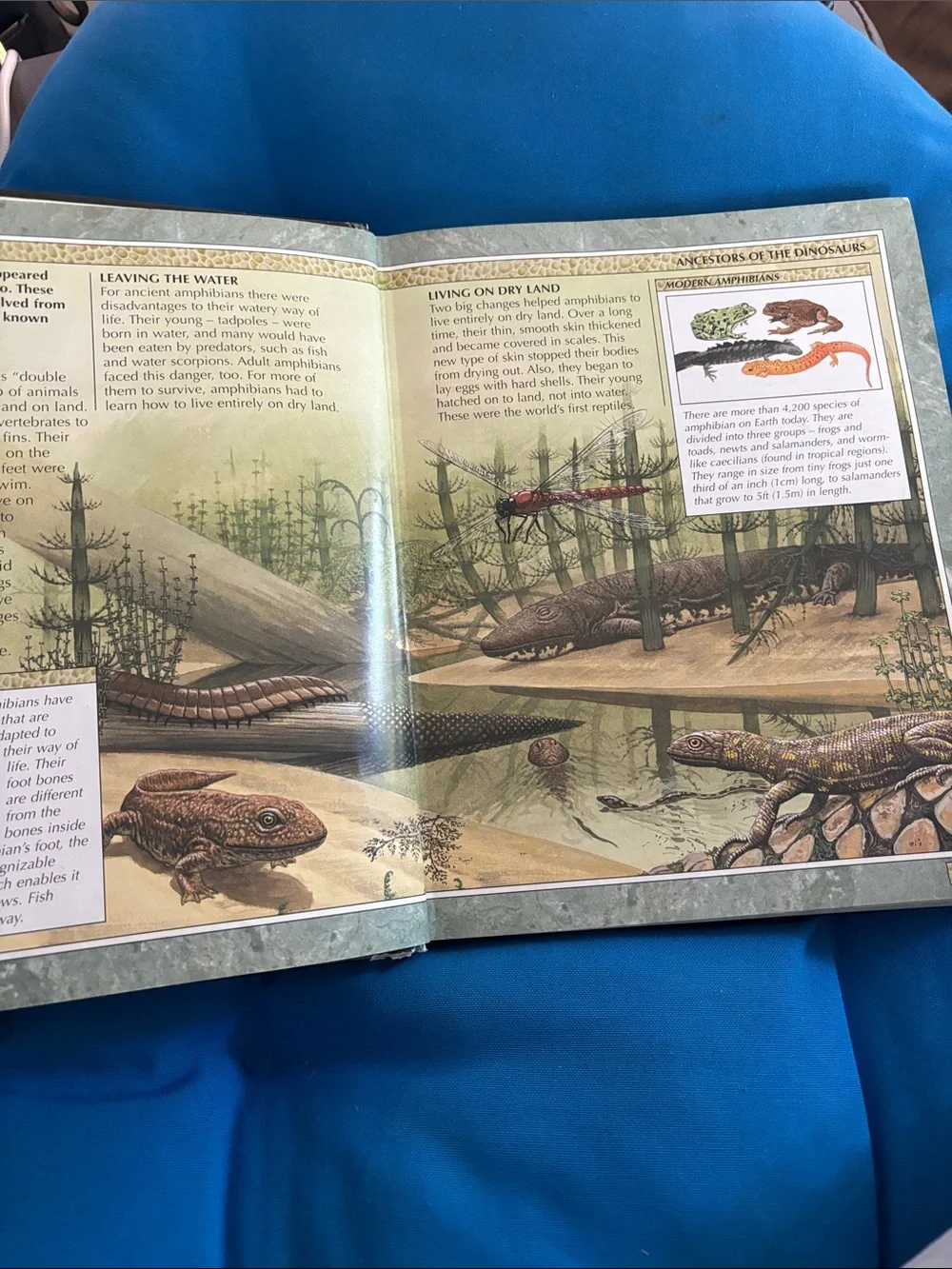 Encyclopedia Of Dinosaurs And Other Prehistoric Creatures NWOTS Hard Cover